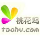 北京桃花坞科技股份有限公司