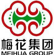 梅花生物科技集团股份有限公司