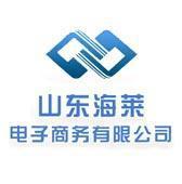 山东海莱云视股份有限公司
