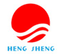 恒升医学科技股份有限公司