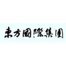 上海东松医疗科技股份有限公司